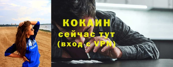 мескалин Алексин