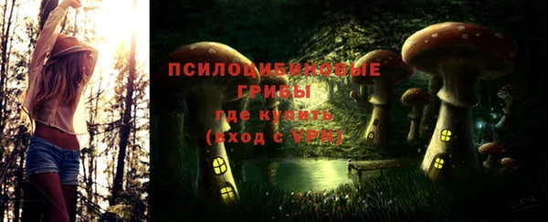 мескалин Алексин