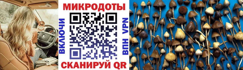 Псилоцибиновые грибы Magic Shrooms  Люберцы 