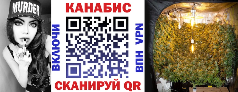 как найти   Люберцы  МАРИХУАНА сатива 